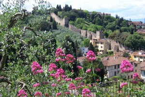 florence town walls from garden of roses close to piazzale michelangelo