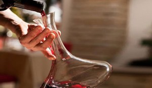 Best Sommelier wine tour in florence Tuscany