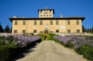 medici villa petraia