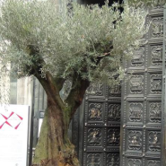 Florence Florens 2012