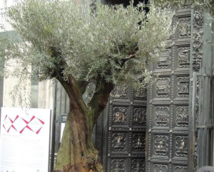 Florence Florens 2012