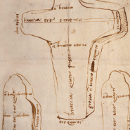 Once in a lifetime, Florence exhibition 2014