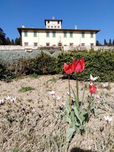 12 – MEDICI DINASTY & RENAISSANCE VILLAS