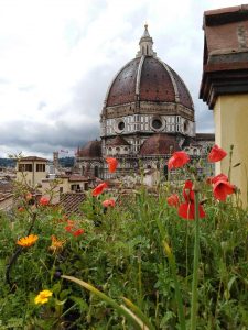 14 – YOUR CHOICE: FEEL FREE TO ASK YOUR DESIRED TOPIC