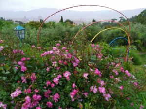 A sublime view of Florence