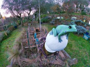 Discover the creatures of wonderland